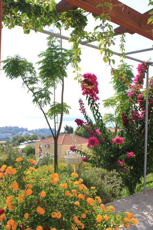 Maria'S Garden Apartments Lassi  Dış mekan fotoğraf